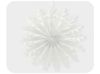 Picture of 3D Winter snowflake tissue fan