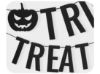 Picture of TRICK OR TREAT letter garland