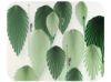 Picture of Boho Style Leaves palm Leaf Style Paper Fan Party Decoration