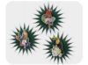 Picture of Toucan & Parrots paper fans set